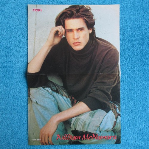 William mcnamara poster frida - poster,