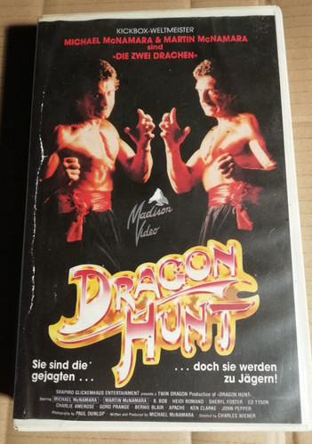 Dragon hunt michael martin - dragon,